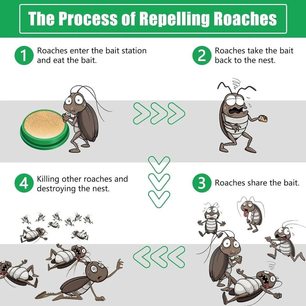 Cockroach Killer Gel (Pack of 24 Pcs)